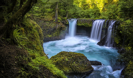 Wald, Fluss, Wasserfall, Washington, Columbia River Gorge, Columbia River Gorge, Little White Salmon River, Spirit If, HD-Hintergrundbild HD wallpaper