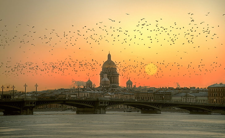 kawanan burung, lanskap kota, Matahari, matahari terbenam, sungai, jembatan, St. Petersburg, Rusia, katedral, arsitektur, bangunan, burung, Leningrad, Wallpaper HD