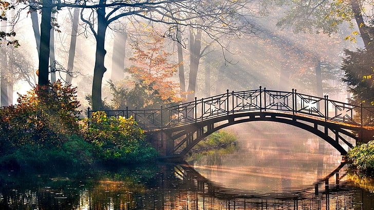 pont en béton gris, pont, soleil, poutres, lumière, matin, rivière, parc, conte de fées, Fond d'écran HD