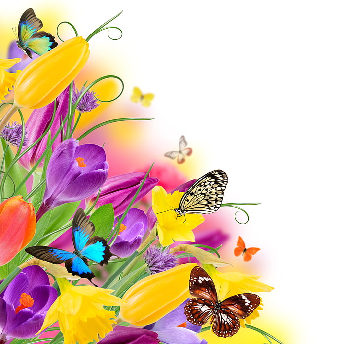 assorted-color butterflies near assorted-color flowers painting, butterfly, flowers, spring, colorful, tulips, fresh, yellow, beautiful, purple, butterflies, HD wallpaper