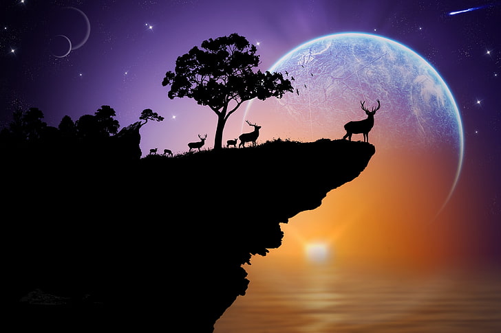 moose and tree, sea, the sky, stars, sunset, rock, tree, planet, deer, silhouette, HD wallpaper