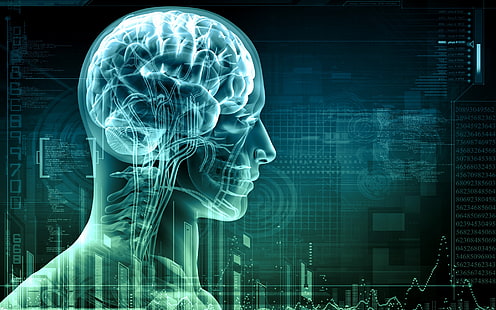 사람의 뇌 디지털 벽지, 디지털 아트, 숫자, 기술, 이진, 코드, 컴퓨터, 얼굴, 사람들, 엑스레이, 두개골, 뇌, 뼈, 척추, 원, 그리드, 정맥, 해부, 프로그래밍 언어,이, 프로그래밍, 해골, HD 배경 화면 HD wallpaper
