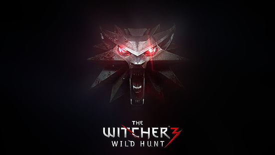 The Witcher 3 Wild Hunter-omslag, The Witcher 3: Wild Hunt, The Witcher, videospel, HD tapet HD wallpaper