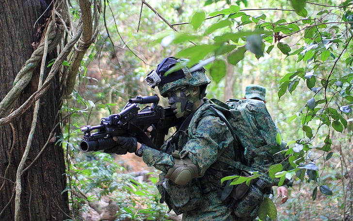soldat sar 21 armee ausrüstung waffe angriffsgewehr singapur granatwerfer wald tarnung militär militärische ausbildung, HD-Hintergrundbild