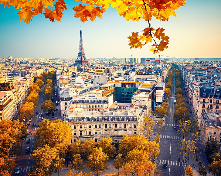 Эйфелева башня, Париж, осень, небо, листья, солнце, деревья, ветки, Франция, Париж, дома, желтый, Эйфелева башня, вид сверху, улица, HD обои