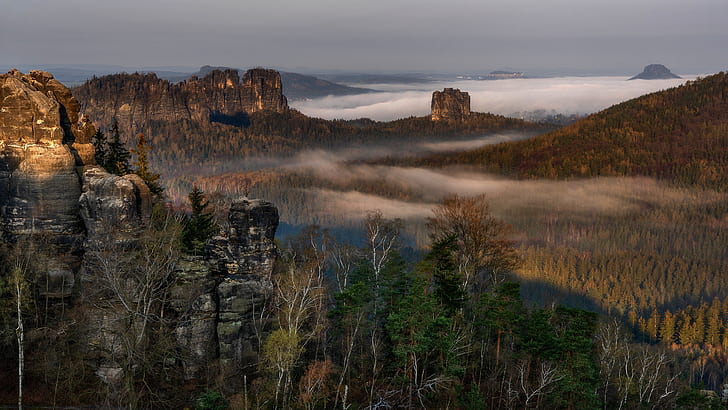 Earth, Landscape, Cliff, Elbe Sandstone Mountains, Fog, Forest, Germany, Nature, HD wallpaper