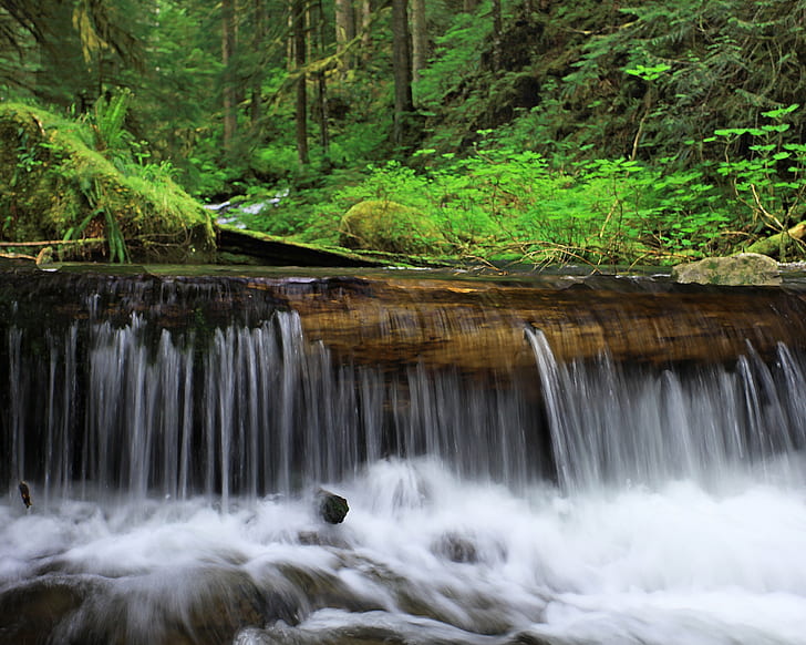 time lapse photography of waterfalls inside forest during day time, Sales, Calls, time lapse photography, waterfalls, forest, day, Multnomah  Creek, Late  Spring, Early  Summer, Columbia  River  Gorge, Oregon, Green, Foliage, Hike, Hiking, Nature, Brook, Water, Rushing, Log, peaceful, getaway, waterfall, river, stream, tree, scenics, landscape, outdoors, HD wallpaper