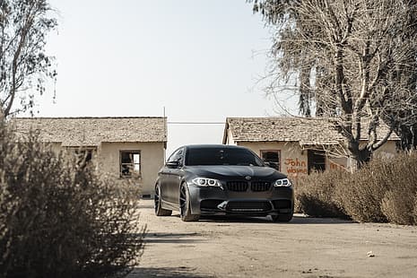 BMW, F10, M5, luzes diurnas, HD papel de parede HD wallpaper