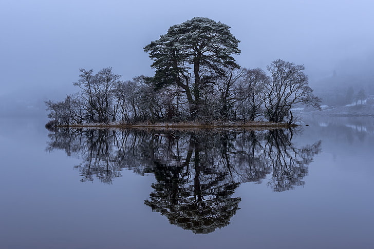 trees, lake, reflection, Scotland, island, Loch Awe, HD wallpaper