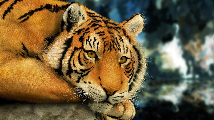 tigre, felino, gato grande, predador, gato, animal, mamífero, animais selvagens, selvagem, peles, listras, jardim zoológico, carnívoro, selva, caçador, gato tigre, feroz, olho, animais, listrado, cabeça, caça, safari, perigoso,gato doméstico, besta, áfrica, bigodes, nariz, retrato, jaguar, leopardo, gatos, HD papel de parede