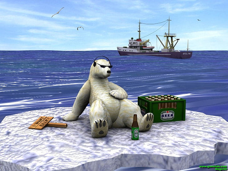 Oso gracioso gracioso oso polar Entretenimiento gracioso HD Art, gracioso,  Fondo de pantalla HD | Wallpaperbetter