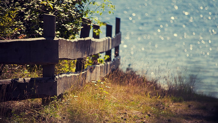 valla de madera marrón, mar, paisaje, valla, naturaleza, Fondo de pantalla HD