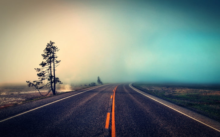 черен асфалтов път, път, мъгла, дървета, трева, пейзаж, HD тапет