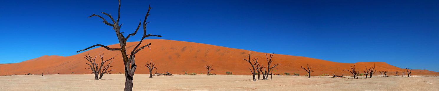 صحراء رصد متعددة شاشة متعددة ثلاثية ورق الجدران، خلفية HD HD wallpaper