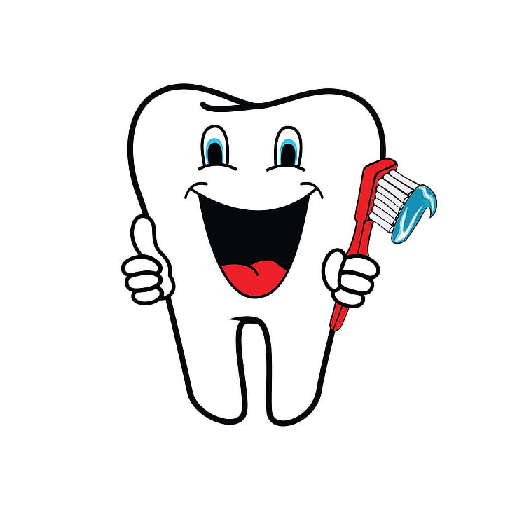 clipart tooth, dental health, dentist, dentistry, healthy lifestyle, illustration, tooth, tooth icon, toothbrush, vector image, HD wallpaper