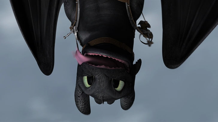 Film, How to Train Your Dragon 2, Toothless (How to Train Your Dragon), HD tapet