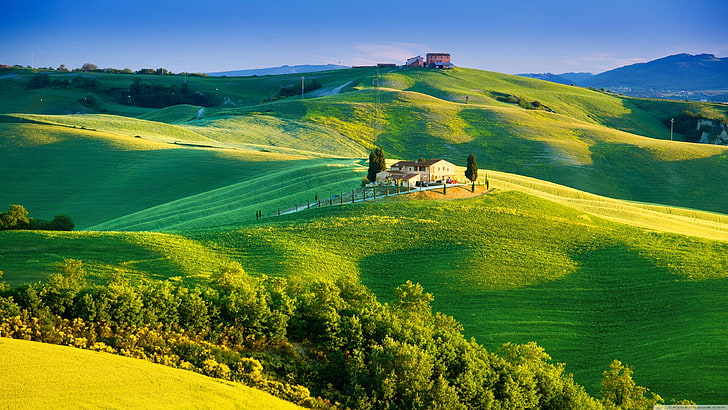 naturaleza, paisaje, prado, verde, HD papel de parede