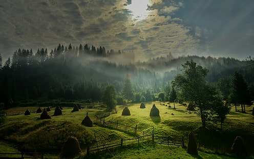 зелени листни дървета, пейзаж, природа, сутрин, слънчева светлина, небе, мъгла, поле, гора, хълмове, ограда, дървета, зелен, облаци, сено, HD тапет HD wallpaper