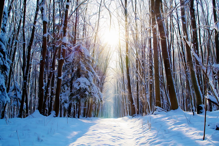Зимний лес, 4К, Снег, Краска, HD обои