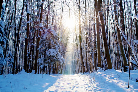 겨울 숲, 4K, 눈, 페인트, HD 배경 화면 HD wallpaper