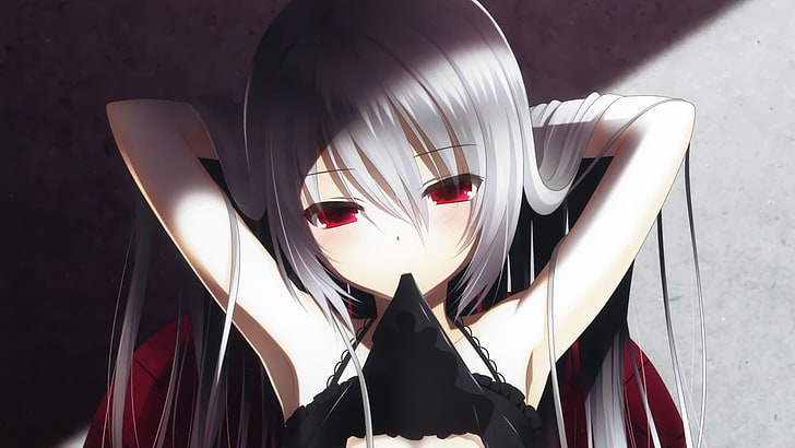 Anime Girl Charakter mit weißen Haaren, silbernen Haaren, roten Augen, langen Haaren, originellen Charakteren, Anime Girls, HD-Hintergrundbild