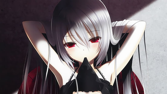 personnage de fille d'anime avec cheveux blancs, cheveux argentés, yeux rouges, cheveux longs, personnages originaux, filles d'anime, Fond d'écran HD HD wallpaper
