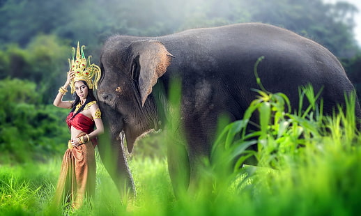Donne, asiatiche, bruna, elefante, ragazza, modella, costume tradizionale tailandese, donna, Sfondo HD HD wallpaper