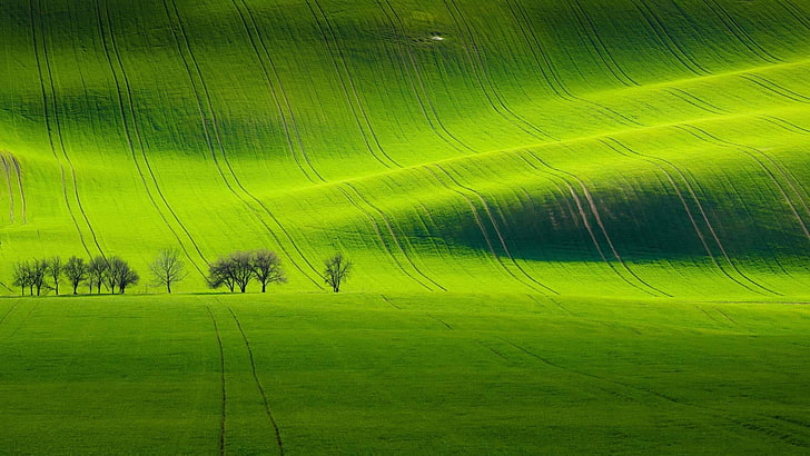 field, green field, meadow, green, landscape, hill, hillside, HD wallpaper
