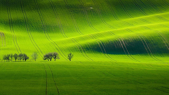 поле, зеленое поле, луг, зелень, пейзаж, холм, склон холма, HD обои HD wallpaper