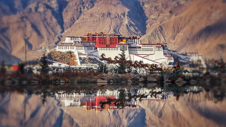 宗教、寺院、ラサ、チベット、ポタラ宮、仏教、仏教、反射、中国、アジア、チベット仏教、 HDデスクトップの壁紙