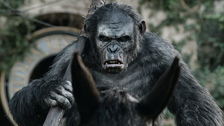 ภาพยนตร์ Dawn of the Planet of the Apes, วอลล์เปเปอร์ HD