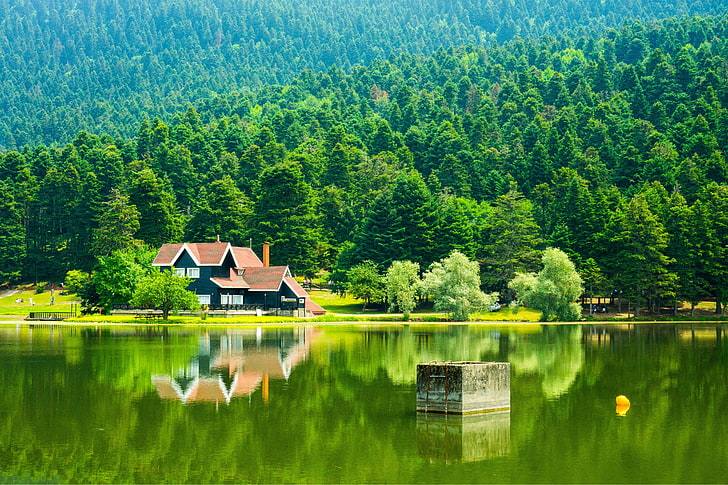 maison en bois marron, vert, lumière naturelle, paysage, Bolu, Gölcük Gölü, lac Gölcük, réflexion, lutte, Fond d'écran HD