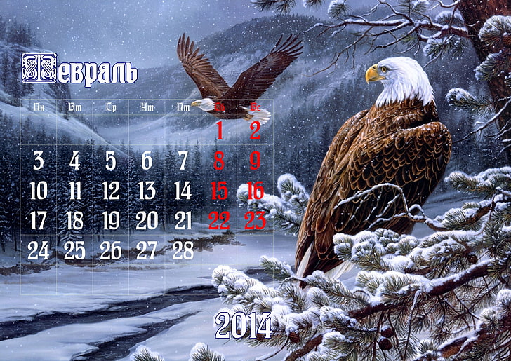3508x2480 px, kalendarz, orzeł, luty, śnieg, zima, Tapety HD
