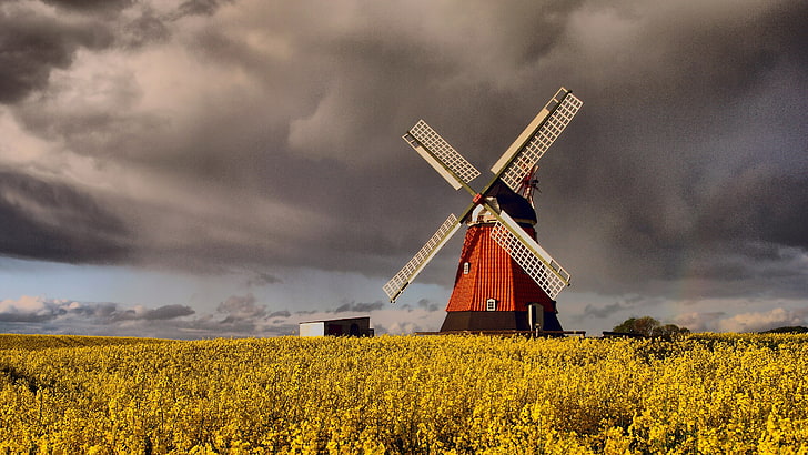 Denmark, windmill, clouds, grain, HD wallpaper