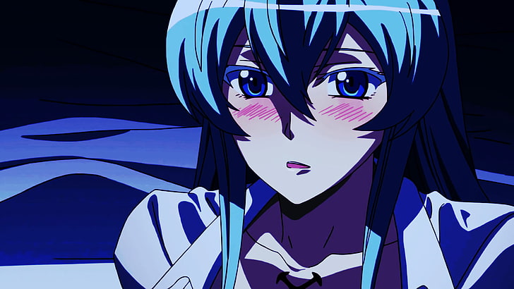 Esdeath, Akame ga Kill!, blue hair, HD wallpaper