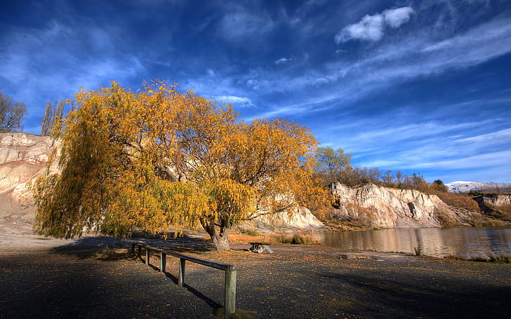 Baum, Küste, Himmel, Blätter, Herbst, Leine, HD-Hintergrundbild