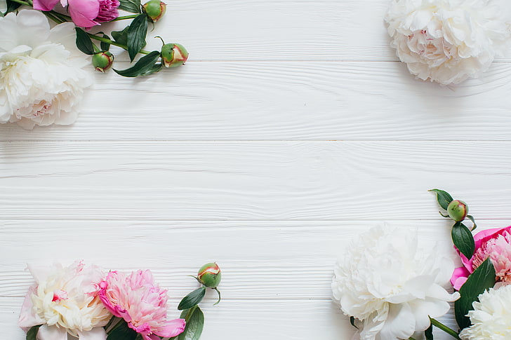 White and pink flowers, Flowers, White, Pink, Peonies, Wooden background,  HD wallpaper | Wallpaperbetter