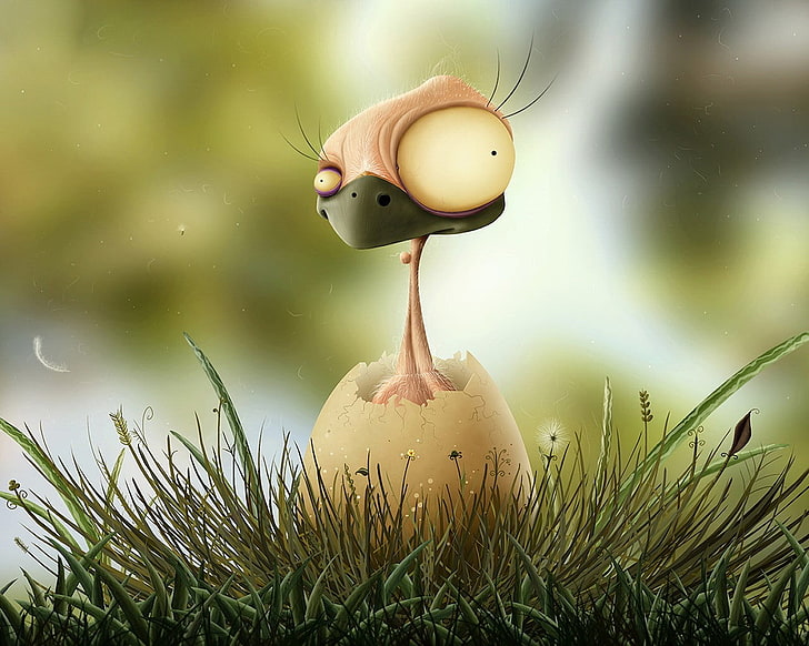 новоявленная птица иллюстрация, настроение, обои, яйцо, HD обои