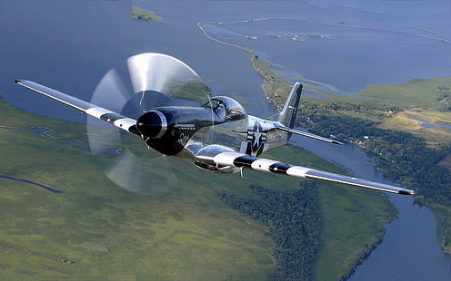 Mustang p51, vintage aircraft, aircraft, mustang, classic, flight, airplane, propeller, plane, HD wallpaper HD wallpaper