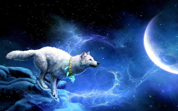 White Wolf Full Moon The Sky Star Diamond Necklace Fantasy Wallpaper Hd, HD wallpaper