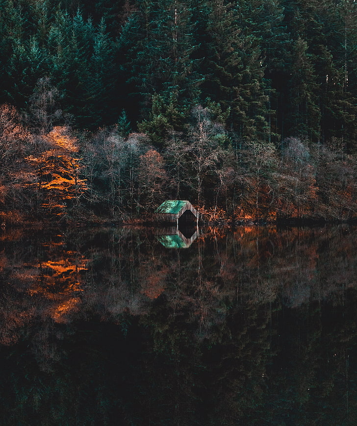 cabine peinte en vert et marron, jetée, abandonné, lac, jetée, arbres, reflet, Fond d'écran HD, fond d'écran de téléphone