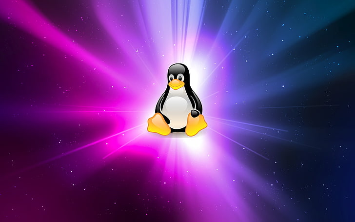Ilustración de pingüino, Linux, GNU, Tux, Fondo de pantalla HD