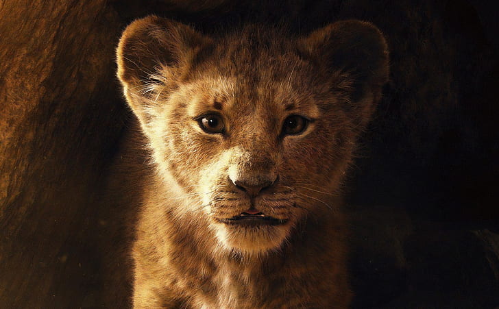 The Lion King 2019 5K, filmy, inne filmy, film, film, lioncub, 2019, simba, thelionking, Tapety HD
