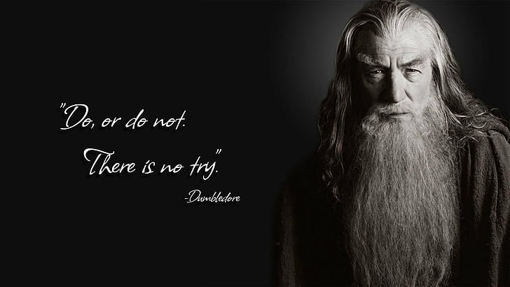 Albus Dumbledore, gandalf, Harry Potter, Ian McKellen, quote, Yoda, HD wallpaper