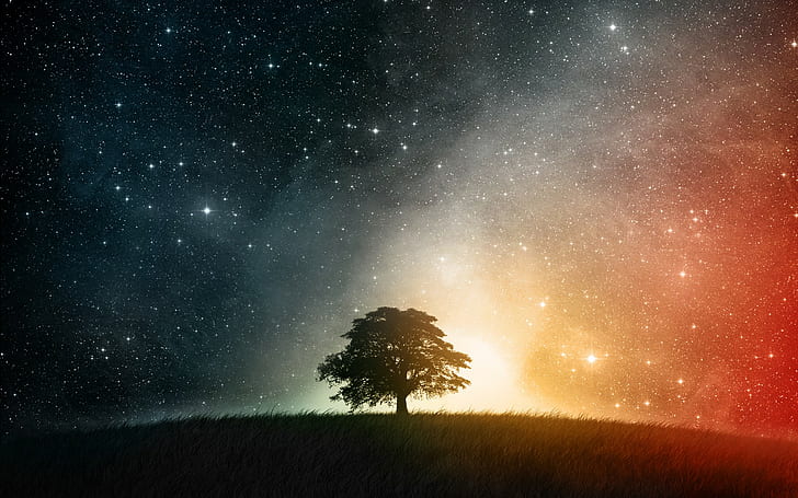 stars, trees, space, nature, universe, horizon, planet, colorful, space art, sky, HD wallpaper