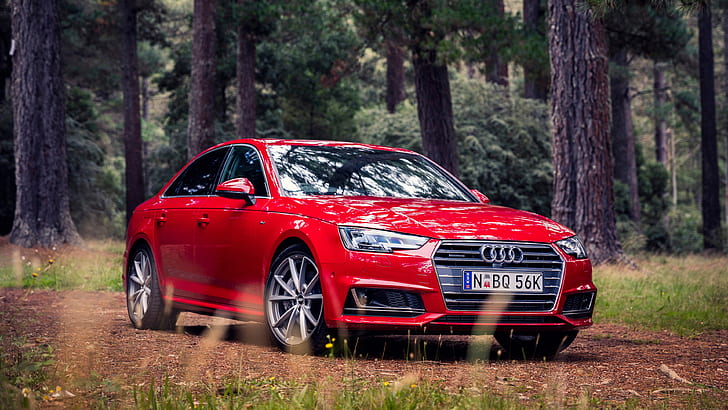 Audi A4 sedán rojo, bosque, hierba, rojo, Audi, A4, sedán, bosque, hierba, Fondo de pantalla HD
