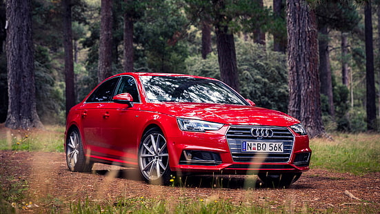 Червен Audi A4 седан, гора, трева, червен, Audi, A4, седан, гора, трева, HD тапет HD wallpaper