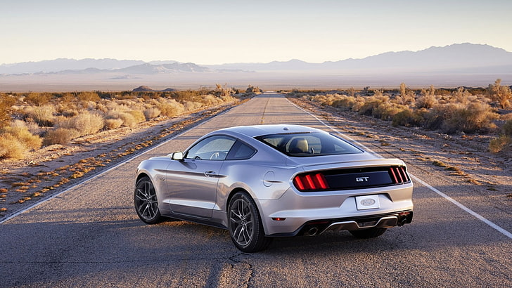 silver coupe ion road, Ford, Ford Mustang, GT, 2015, HD wallpaper