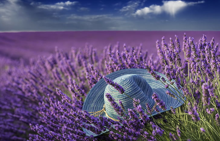 Summer, lavender hat, gray round sun hat, HD wallpaper