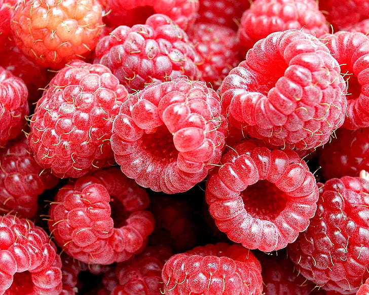 raspberries, raspberry, berry, fresh, HD wallpaper